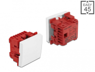 Delock Easy 45 - Interrupteur à bouton-poussoir - 2P - Blanc - Vis - Chine - 250 V