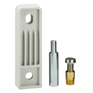 APC NSYFPPLMG - 4 Väggmonteringsflikar pour Plasthus PLM