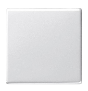 GIRA 029603 - Blanc - IP44