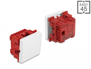 Delock Easy 45 - Interrupteur à bouton-poussoir - 1P - Blanc - Vis - Chine - 250 V