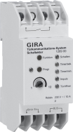 GIRA 128900 - Plastique - Blanc - 230 V - 10 A