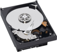 Disque dur WD Green 640 Go SATA 3 Go/s 7,2 K 3,5