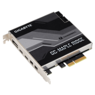 Gigabyte GC-MAPLE RIDGE - PCIe - DisplayPort - Mini DisplayPort - Thunderbolt 4 - USB 3.2 Gen 2 (3.1 Gen 2) Noir - Gris - 40 Gbit/s