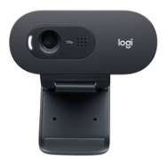 Logitech C505e Webcam - couleur