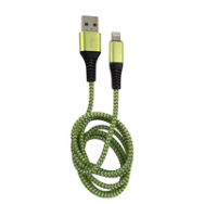 Câble Lightning : câble USB vers Lightning de 1 m, gris/vert