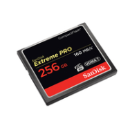 Carte CF SanDisk EXTREME PRO 256 Go