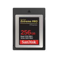 Carte mémoire SanDisk CFexpress 256 Go