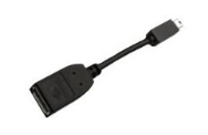 Adaptateur PNY miniDP vers DP 96 mm - Adaptateur