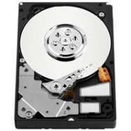 WD XE 300 Go - 2,5" - 300 Go - 10 000 tr/min