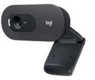 Logitech C505 Webcam - couleur