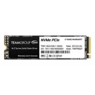 Team Group MP33 - SSD - 256 Go - interne - M.2 2280