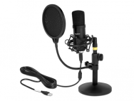 Delock 66300 - -38 dB - 30 - 16000 Hz - 24 bits - 192 kHz - Unidirectionnel - Filaire