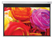 Écran Optoma DS-1123PMG+ 123 pouces