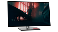 Lenovo ThinkVision P27h-30 Quad HD IPS 27 pouces