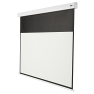 celexon Professional Plus - Motorisé - 137,2 cm (54") - 3 m - 169 cm - 16:9