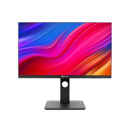 Moniteur IPS AG Neovo 24" WQHD, DW2401