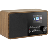 Radio Internet Telestar i110 5W