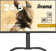 Moniteur de jeu 24,5" Iiyama G-MASTER GB2590HSU-B5