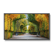 Panneau LED NEC MultiSync X554HB 55"