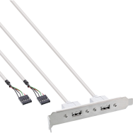 Support de connecteur interne à double port USB 2.0 InLine 0,3 m