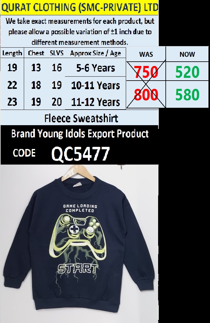 Brand Young Idols Fleece Sweatshirt Export Europe - QC5477
