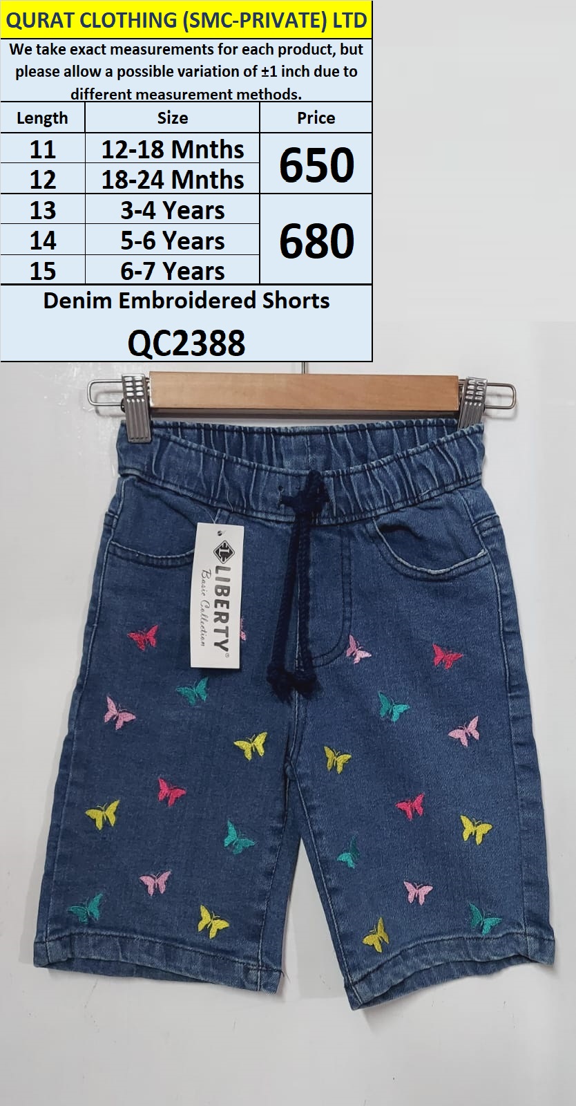 Light Blue Butterfly Denim Embroidered Shorts QC2388
