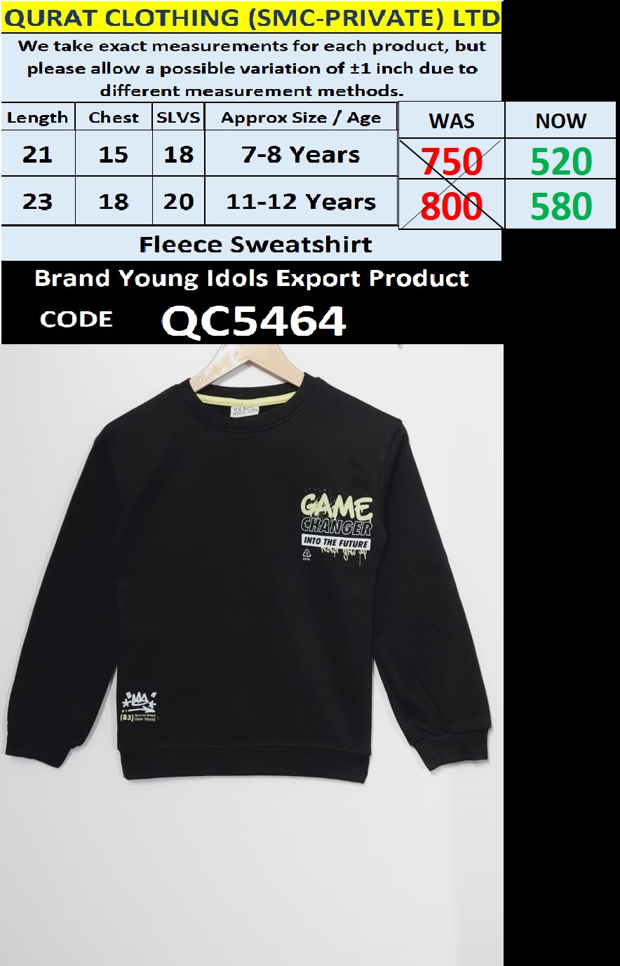 Brand Young Idols Fleece Sweatshirt Export Europe - QC5464