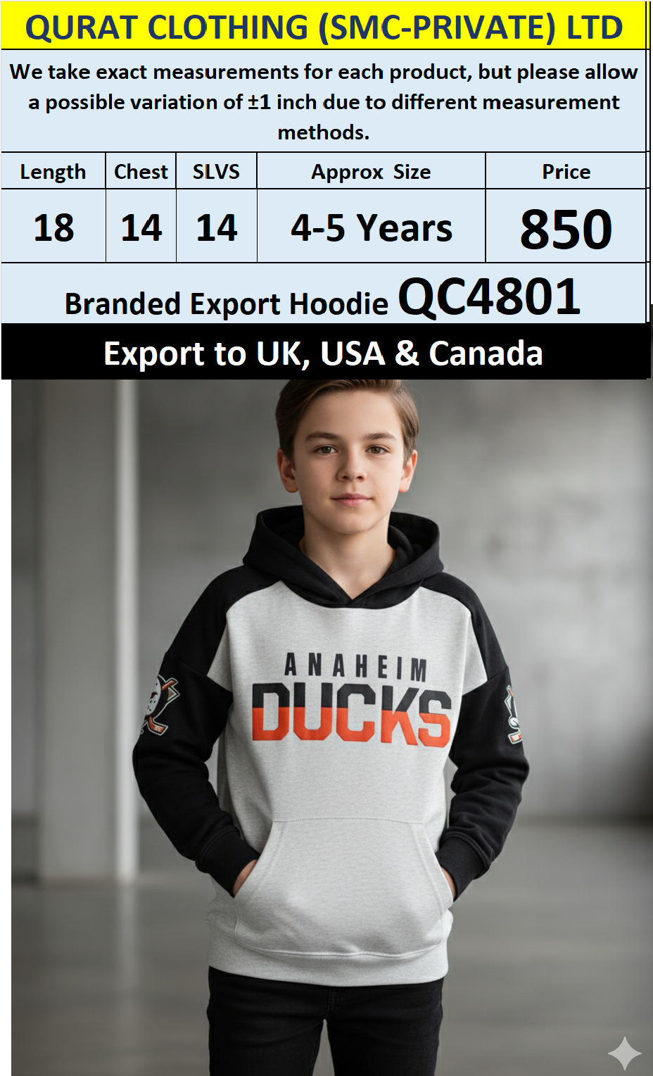 Branded Export UK, USA & Canada Top Brands Hoodie QC4801
