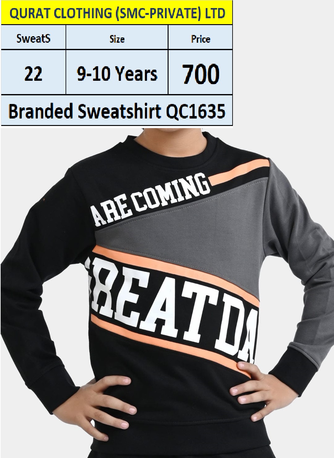 Branded Sweatshirt QC1635 Export Product