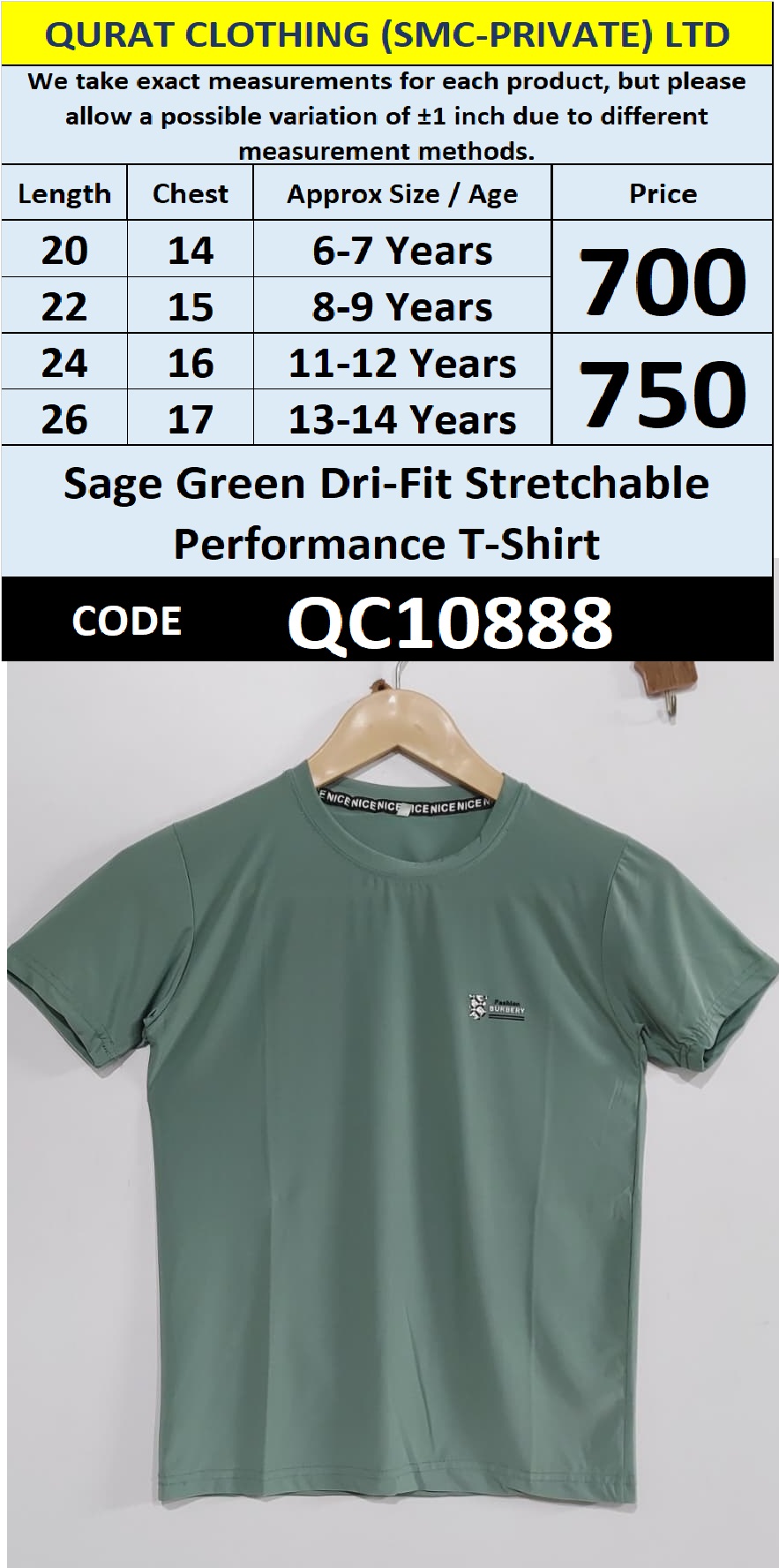 Sage Green Dri-Fit Stretchable Performance T-Shirt QC10888