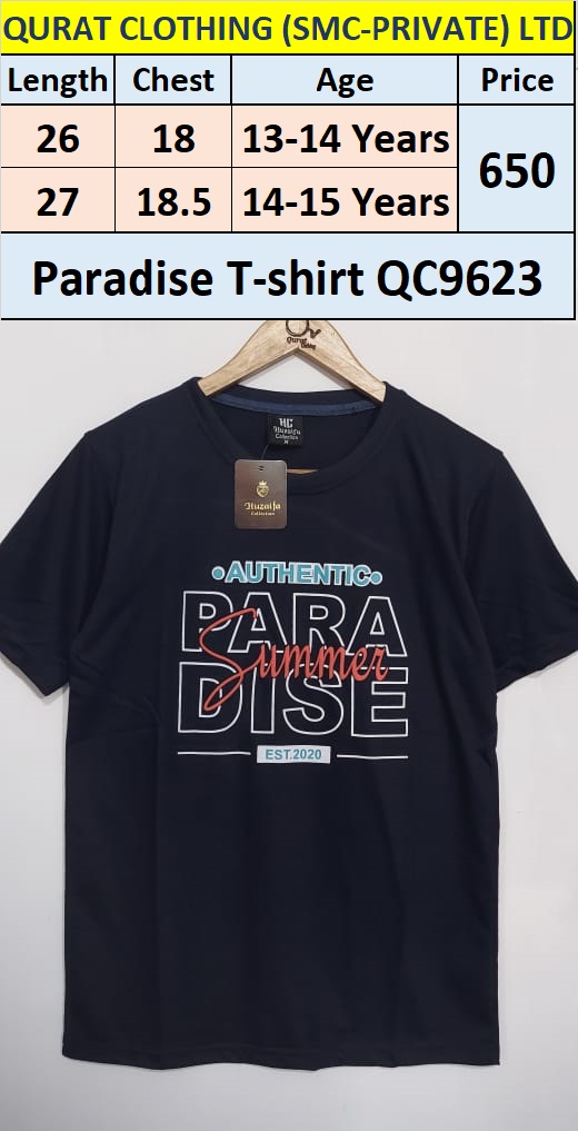 Haiti Paradise T-shirt QC9623