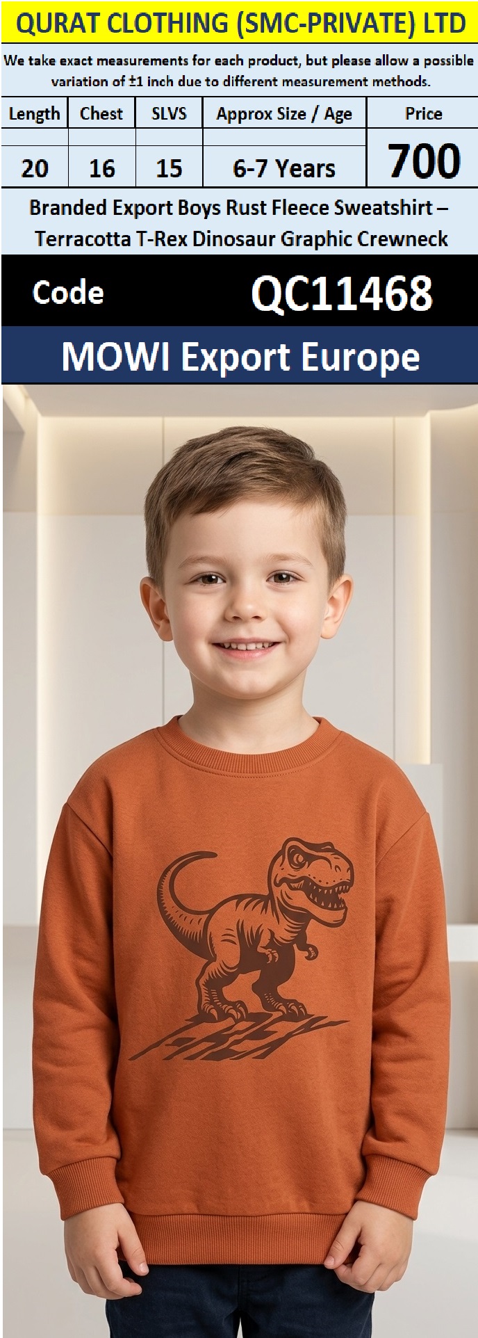 QC11468 – Branded Export Boys Rust Terracotta T-Rex Dinosaur Graphic Fleece Crewneck Sweatshirt – MOWI Export Europe