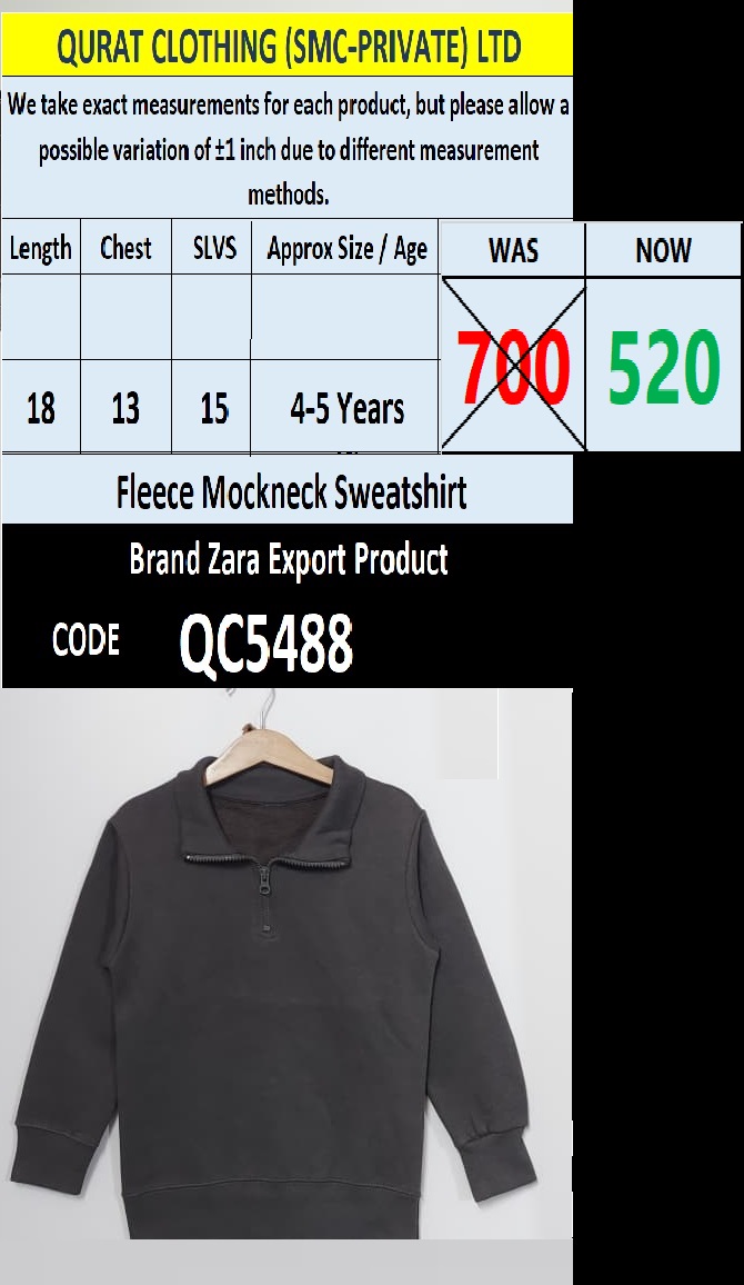 Brand ZARA Fleece Mockneck Sweatshirt Export Europe - QC5488
