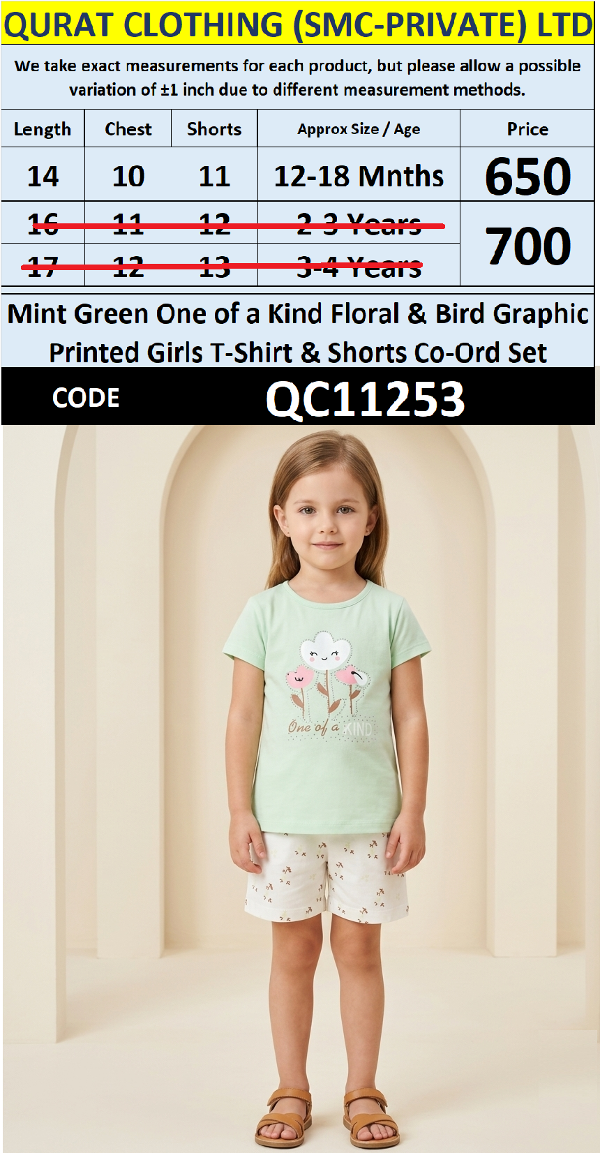 Mint Green One of a Kind Flower Graphic Girls T-Shirt & Printed Shorts Set QC11253