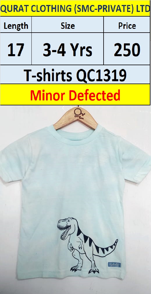Dino T-shirt QC1319 (Minor Defected Product)