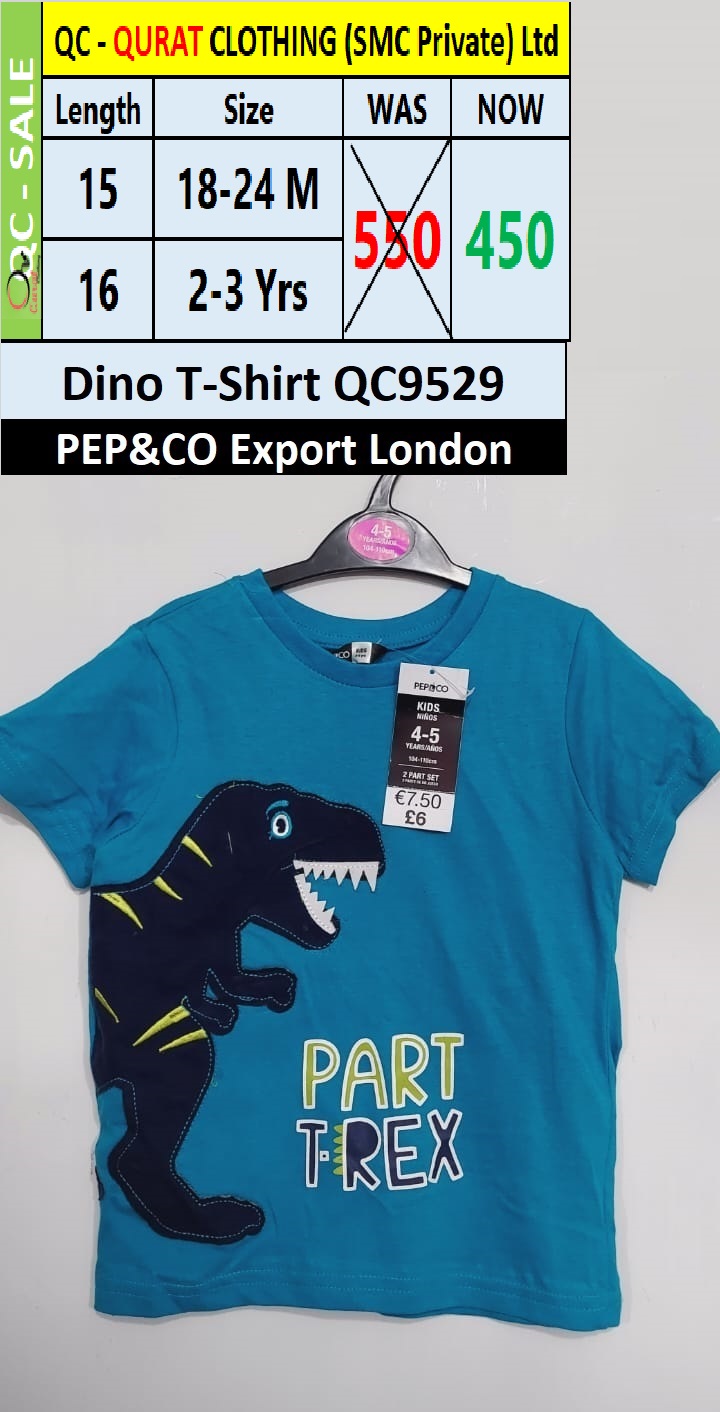 Branded Part Trex Dino T-shirt QC9529 Brand PEP&CO Export London