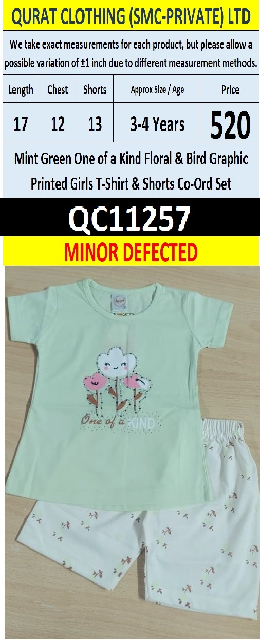 Mint Green One of a Kind Flower Graphic Girls T-Shirt & Printed Shorts Set - QC11257