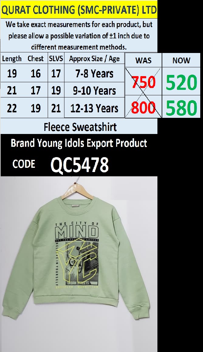 Brand Young Idols Fleece Sweatshirt Export Europe - QC5478