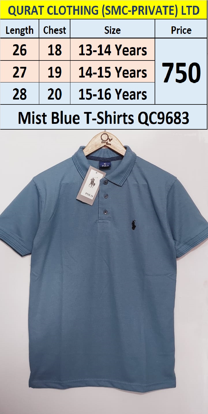 Mist Blue Polo T-Shirts QC9683