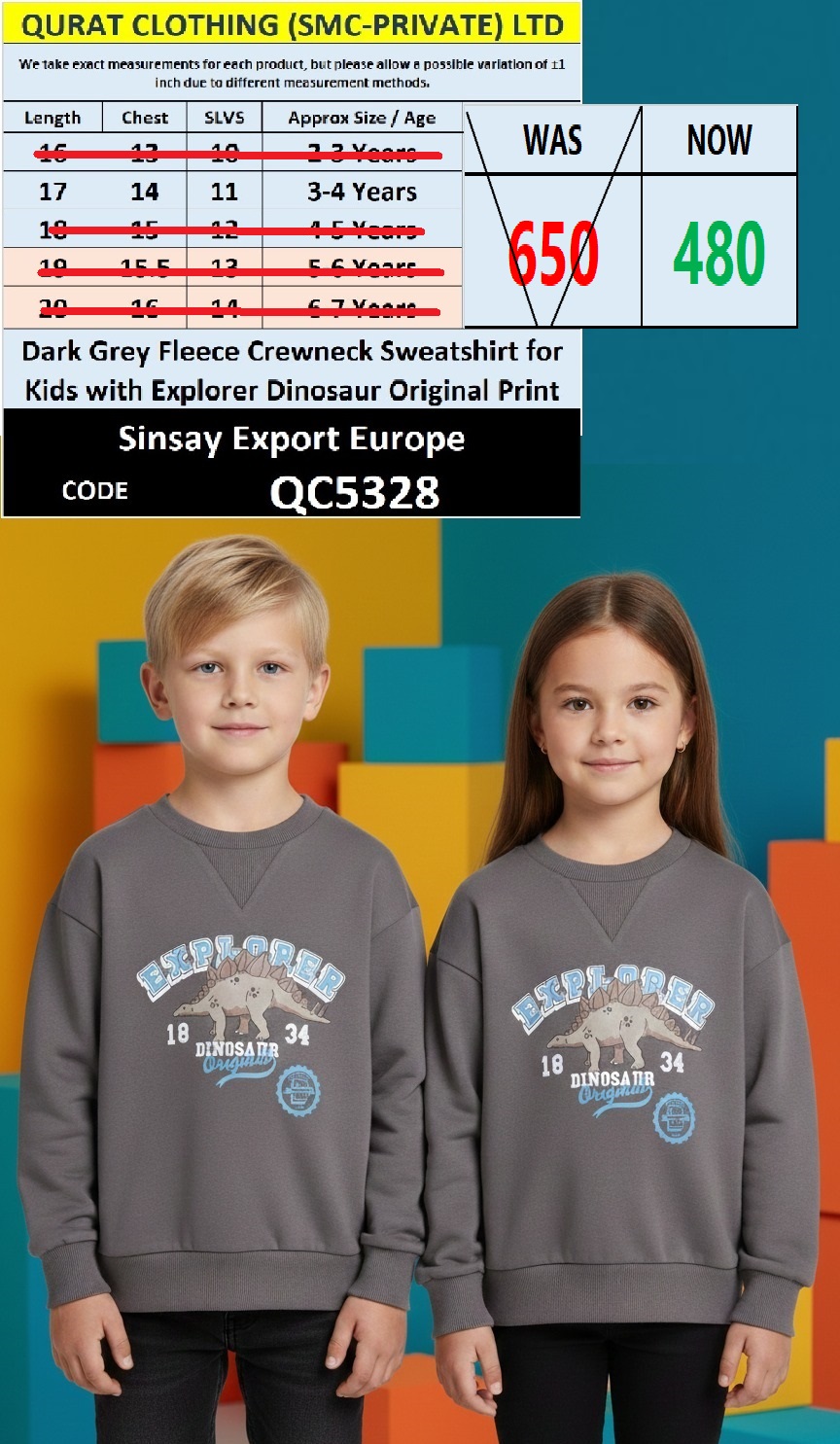 Dark Grey Fleece Kids Crewneck Sweatshirt EXPLORER Dinosaur Original Print Sinsay Export Europe QC5328