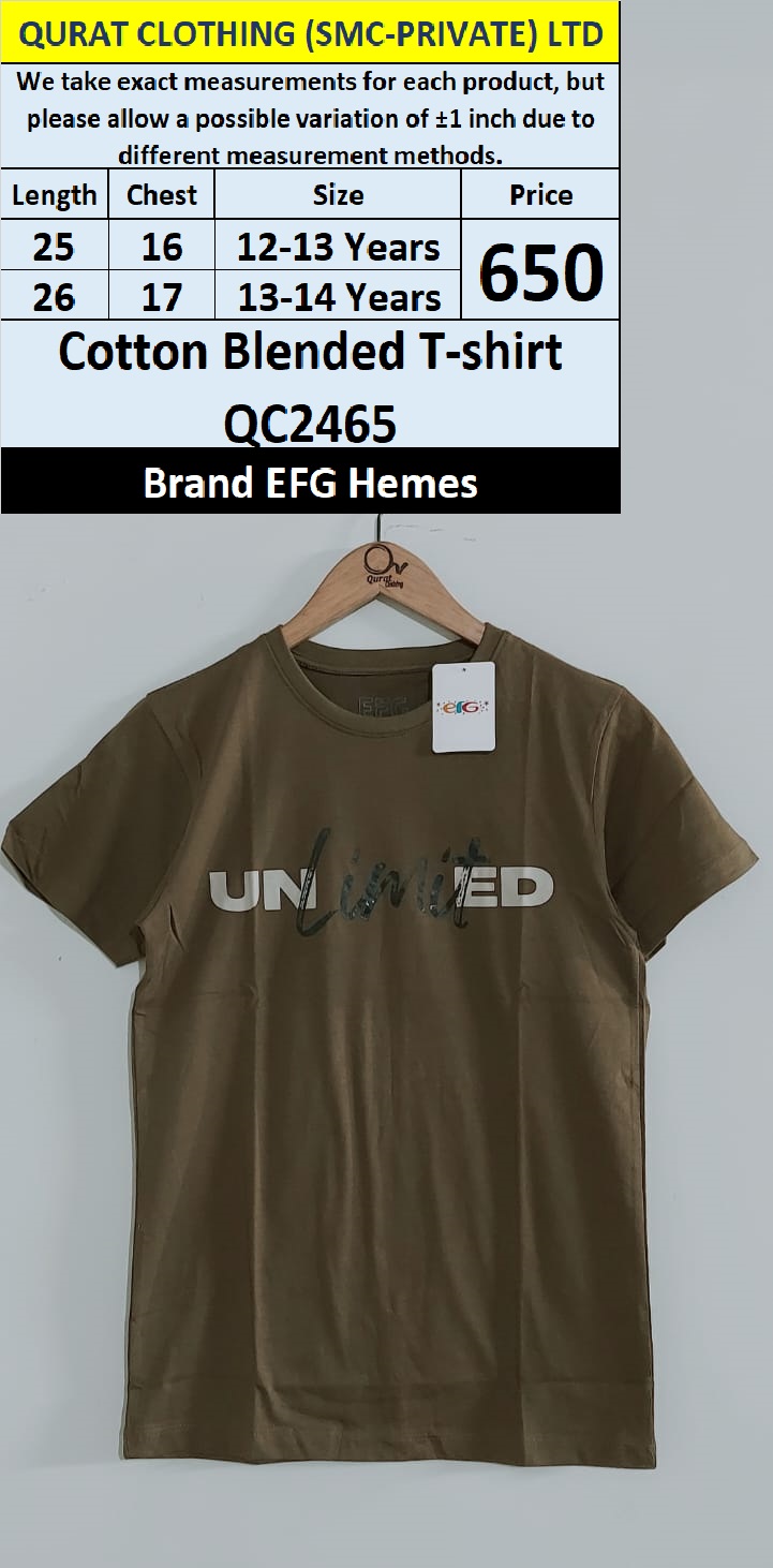 EFG Hemes Brand Cotton Blended T-shirt QC2465