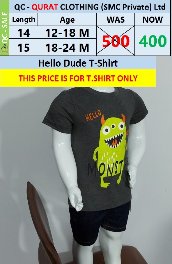Hello Dude T-Shirt