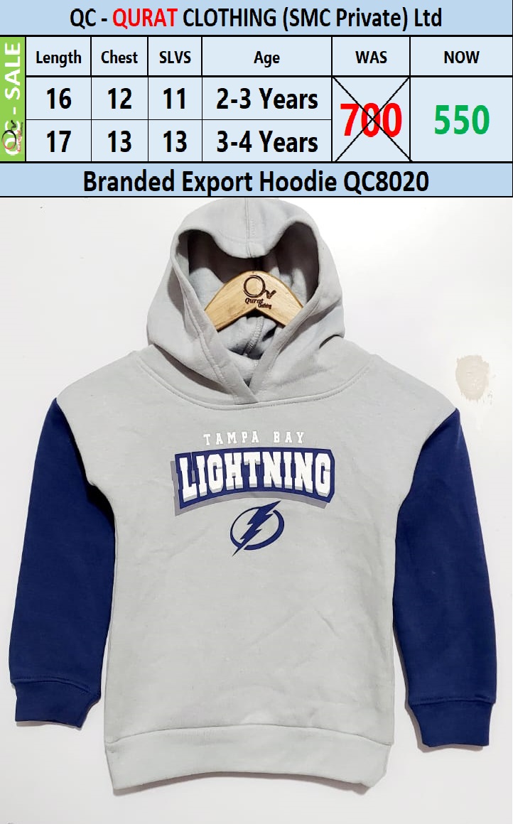 Branded Export Hoodiedsfc