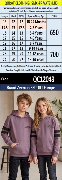 Dusty Mauve Purple Fleece Pullover Hoodie – Abisko National Park Sweden Graphic Print with Black Double Stripe Sleeves – Zeeman Export Europe – QC12049