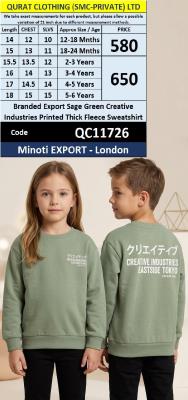 Branded Export Sage Green Creative Industries Printed Thick Fleece Sweatshirt QC11726