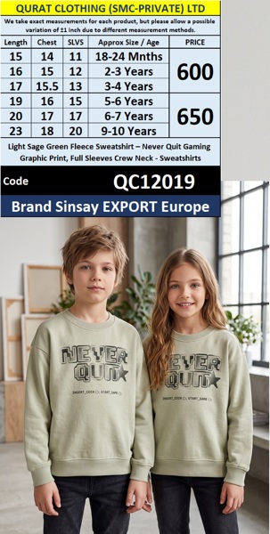 Light Sage Green Fleece Sweatshirt – Never Quit Gaming Graphic Print, Full Sleeves Crew Neck – Sinsay Export Europe – QC12019